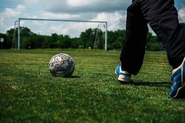 以其卓越的 以其卓越的