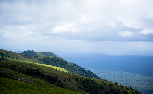 文化契合度 文化契合度
