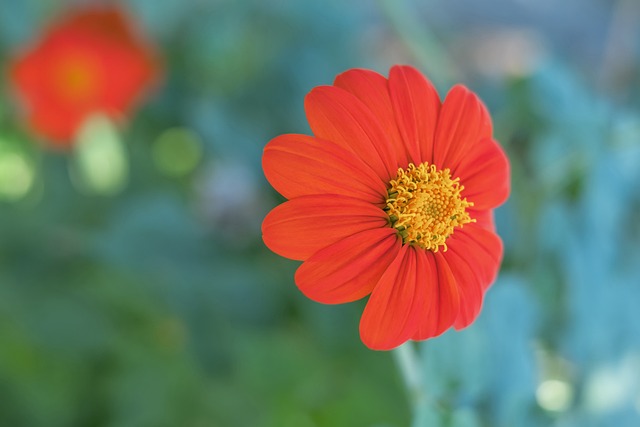 更在於傳遞 更在於傳遞