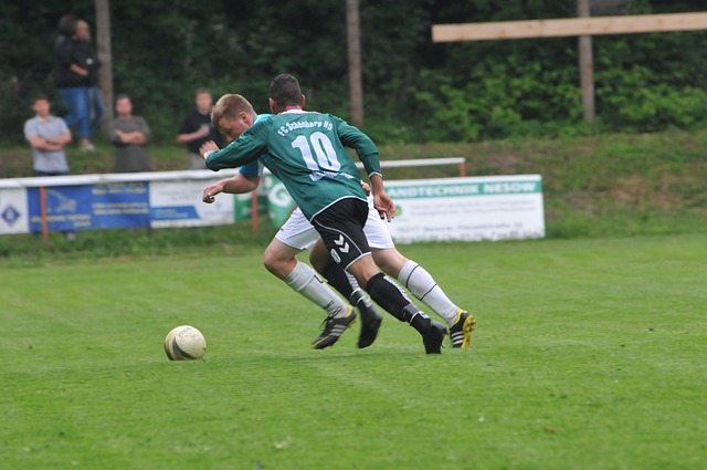 这种与自然 这种与自然