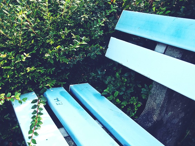 雷速体育-足球篮球直播平台