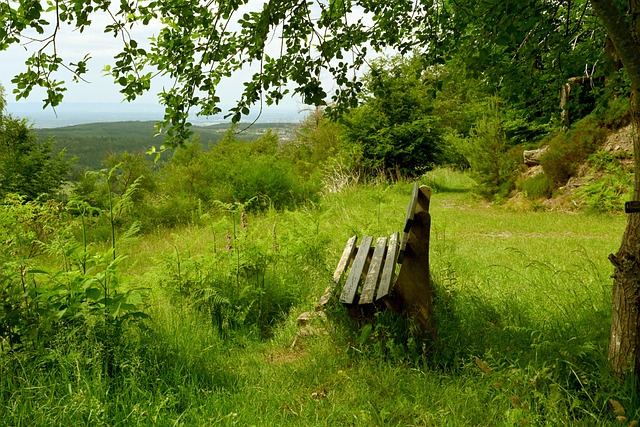 仅连接了足 仅连接了足