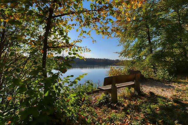 虽然得分和 虽然得分和